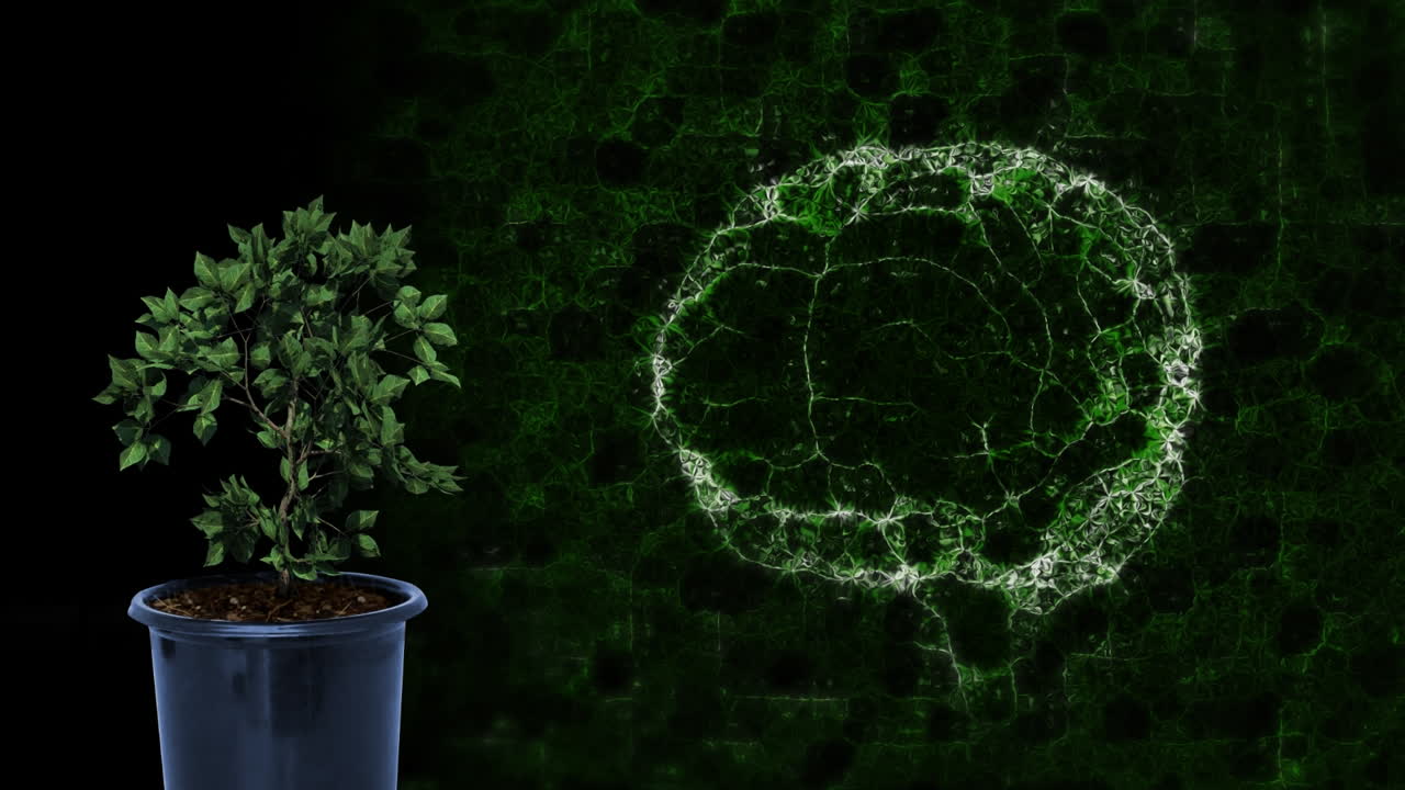 animación del cerebro girando sobre un fondo negro con una planta