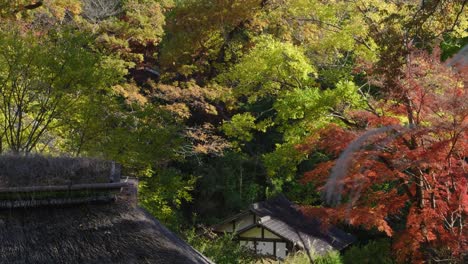 stunning traditional japanese folklore village in fall, slow motion slider