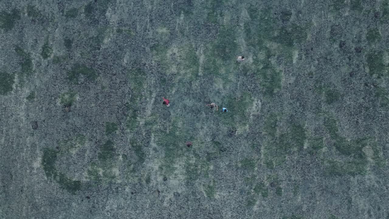 Top Down Panning Drone shot of unidentifiable people walking over low tide coral reef in Bingin Beach in Uluwatu Bali Indonesia