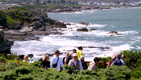 breathtaking coastal view with tourists