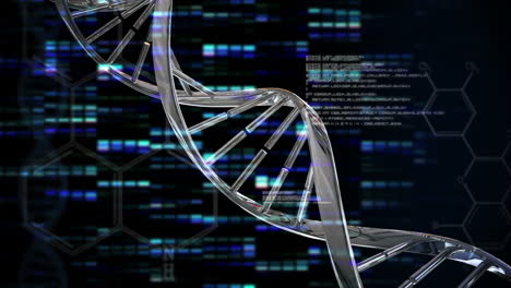 Animation-Der-DNA-Bewegung-