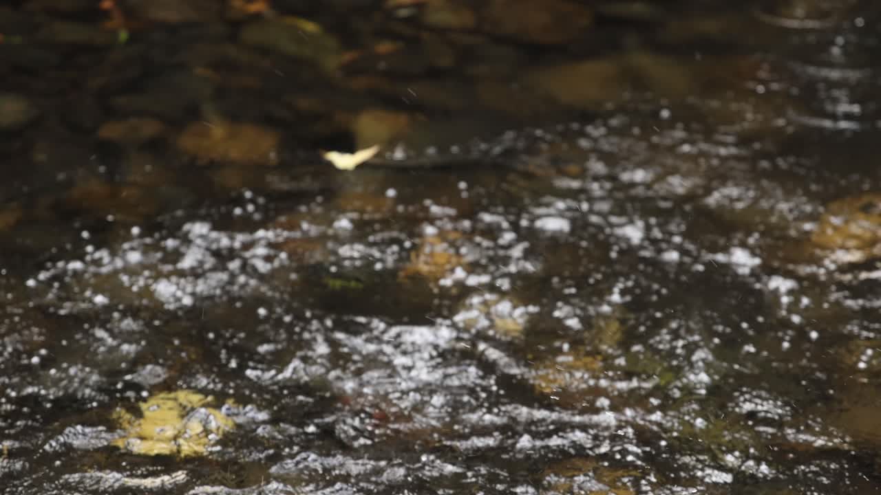 A stone creates splashes in a shallow stream