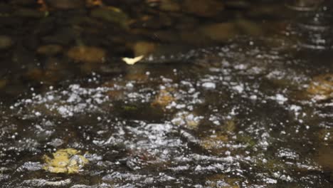 a stone creates splashes in a shallow stream