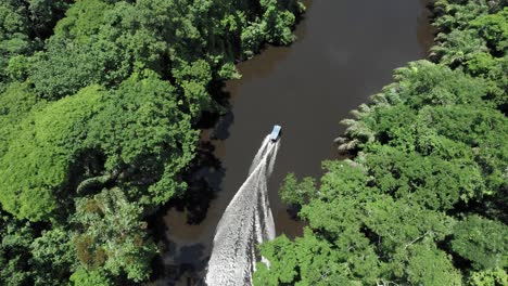 Fast-motorboat-cruising-on-jungle-river-in-Tortuguero,-Costa-Rica