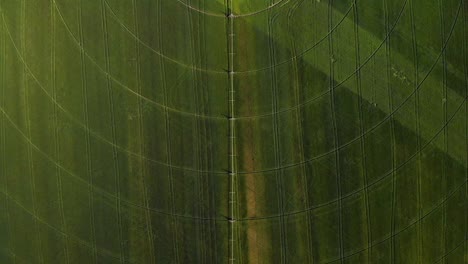 agriculture aerial view with circular crop irrigation