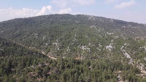 mountain forest aerial view