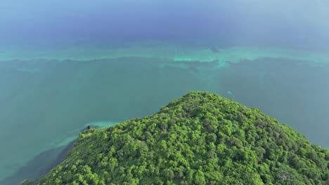 comoros - moheli - daani beach - national park, forest close to the beach