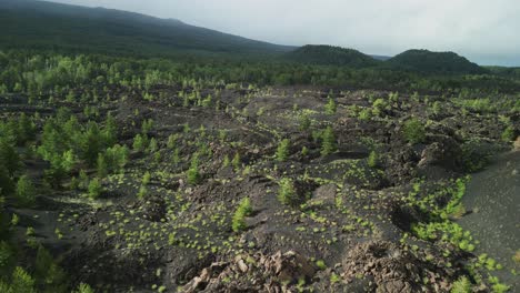 Lunar-landscape-with-path-through-lava-hills-with-luxuriant-vegetation