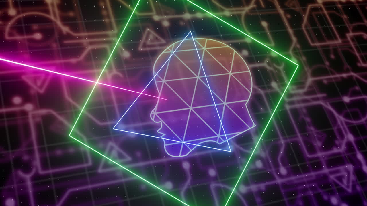 온라인 생체인식 머리의 애니메이션, 컴퓨터 회로판을 통해 데이터 처리