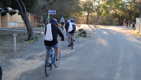 cycling group riding during sunset