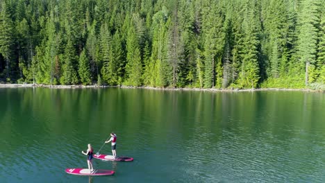 couple rowing a stand up paddle board in the river 4k