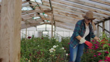 Colleagues-florists-work-together-with-tablet-computers-in-a-rose-growing-greenhouse.-Small-business-doing-flower-check-teamwork-on-a-tablet-computer-over-the-Internet.