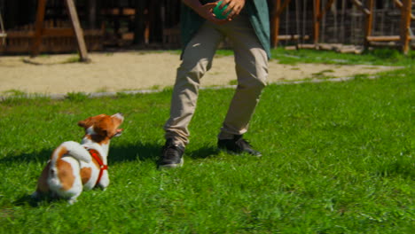 dog playing fetch with owner in park