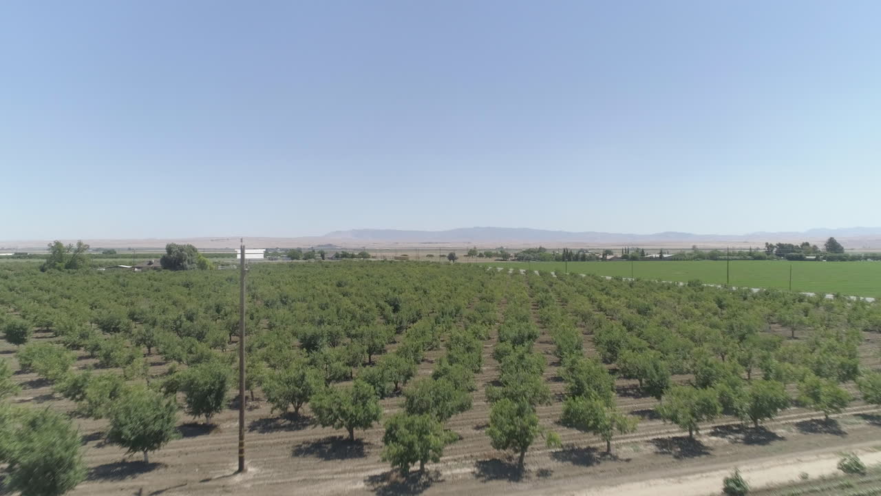 공중 - 과수원의 낮은 전면 드론 샷