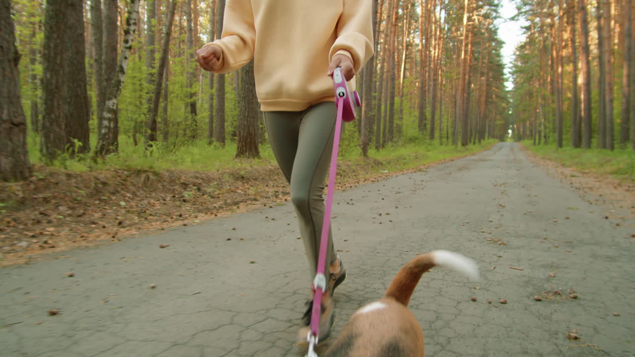 Žena na joggingu se psem bíglem v lese