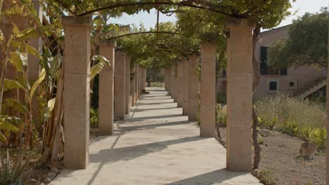 Una-Vista-De-Caminar-Por-La-Calle-Entre-Postes-De-Piedra-Con-Plantas-Verdes-En-La-Parte-Superior-En-Mallorca,-España