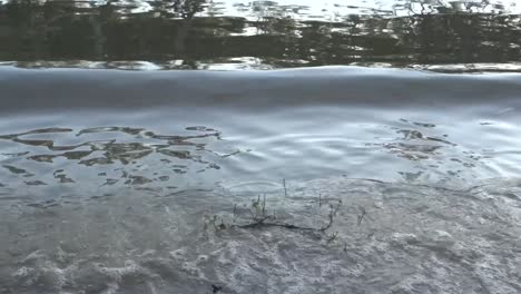 outdoor nature muddy water river waves reflections