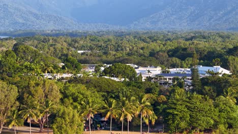 drone footage captures lush greenery, palm trees, and coastal scenery in port douglas, queensland, under bright daylight