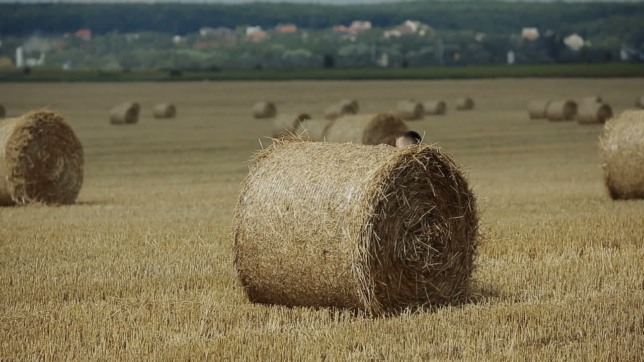 Happy Child In Field. Adorable kid boy spending time in a field with straw