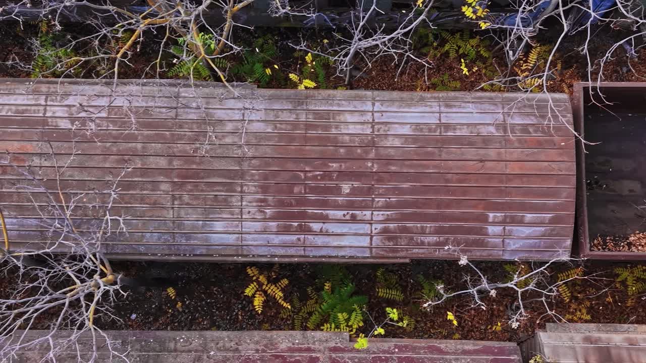 Gammel sti dækket af blade et sted i Grækenland om efteråret
