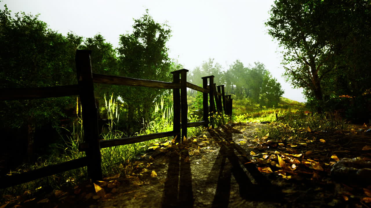 Scenic Path with Wooden Fence and Lush Greenery