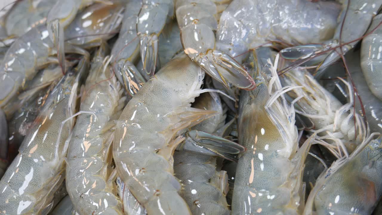 camarones muertos frescos en hielo para la venta