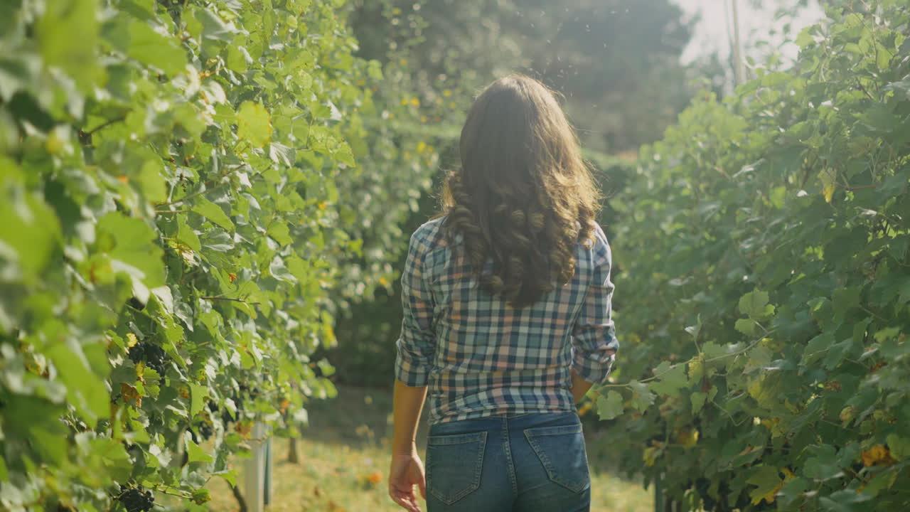 Donna che passeggia per un vigneto