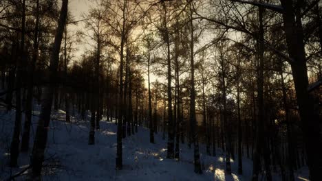 Majestätische-Winterlandschaft,-Die-Im-Sonnenlicht-Erstrahlt