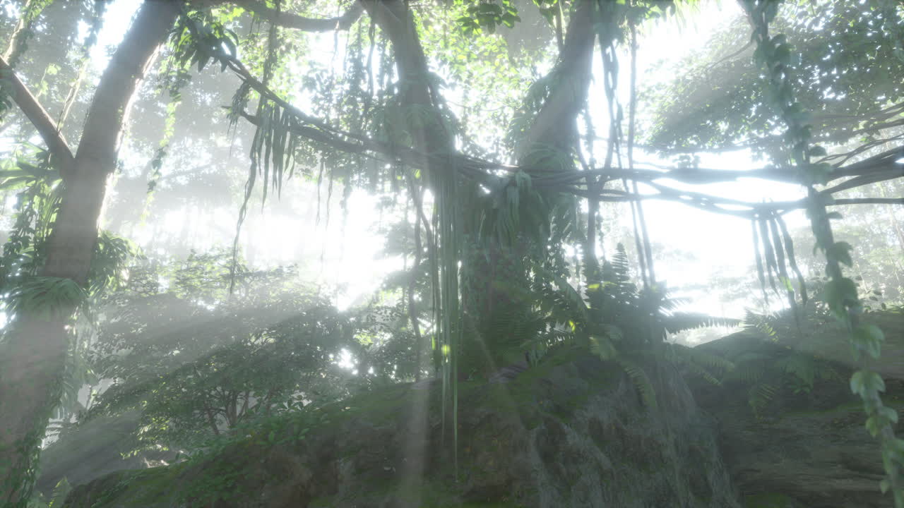 동남아시아 의 깊은 열대 정글