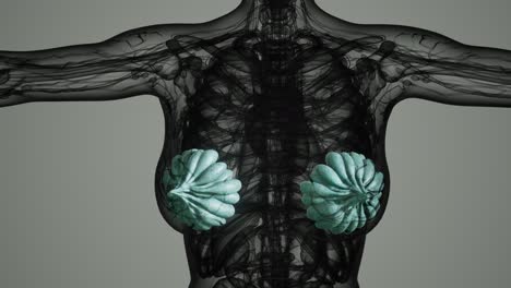 exploración médica del cáncer de mama de la mujer