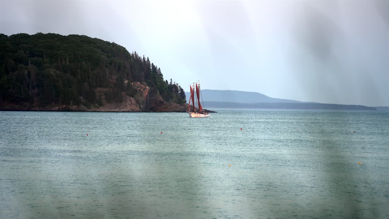 View of sailboat through foreground reeds and grass that are out of focus, slow motion