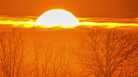 timelapse of the big sun setting in the cloud with tree branches silhouette