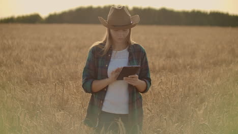 a woman farmer in a shirt and jeans goes with a tablet in a field with rye touches the spikelets and presses her finger on the screen at sunset. dolly movement