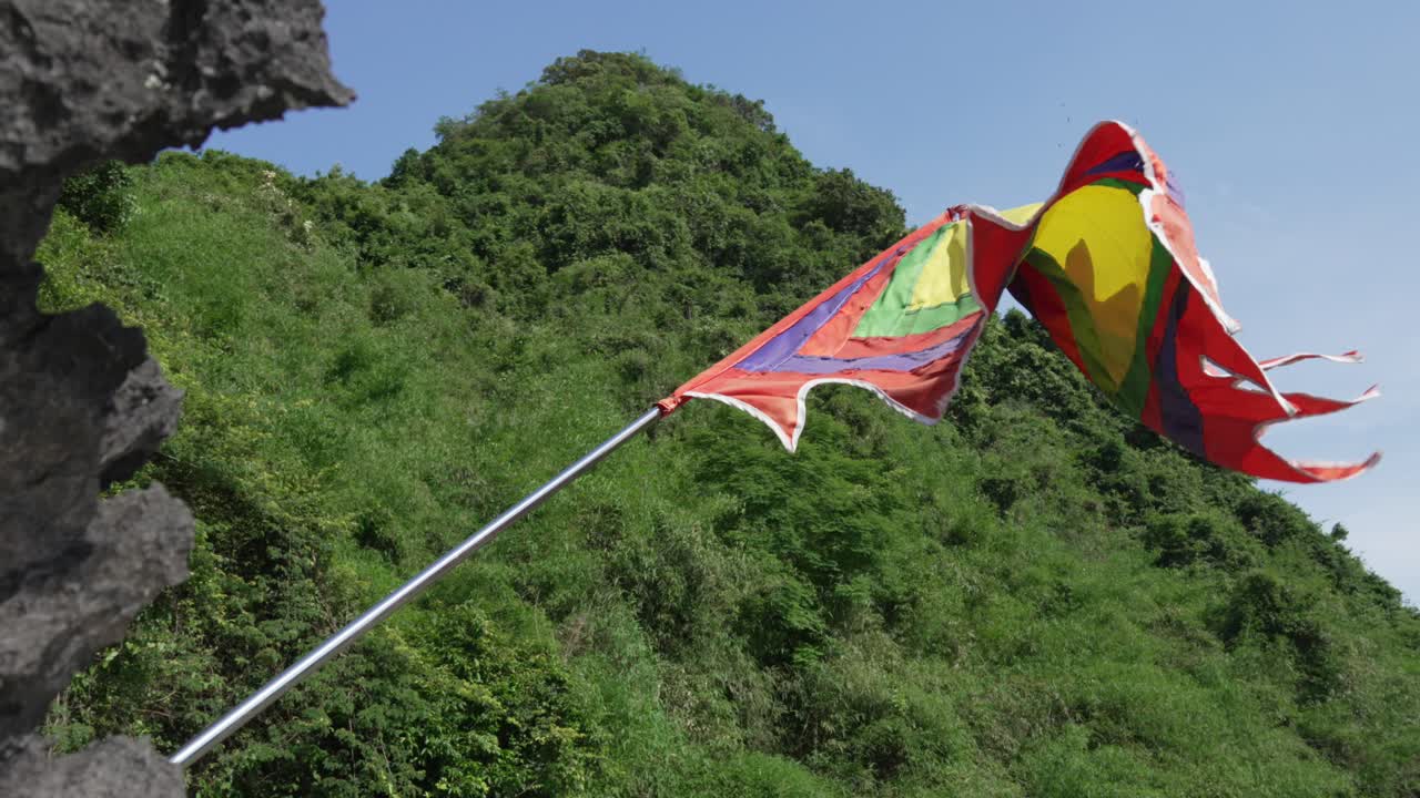 Traditional flagfive-colour flags, cat ba vietnam, forest background