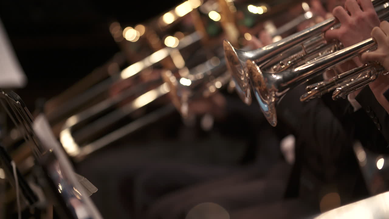 músico tocando la trompeta en concierto