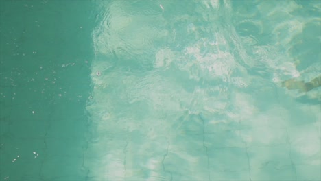 mujer nadadora en la piscina
