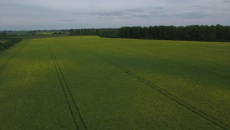 Farming-Field,-Countryside-South-Sweden-Skåne,-Österlen,-Tosterup,-High-Aerial-Froward