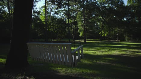 backyard tree swing in the forest in summer