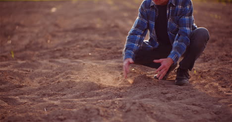 soil agriculture farmer hands holding and pouring back organic soil farmer touching dirt on farm 1