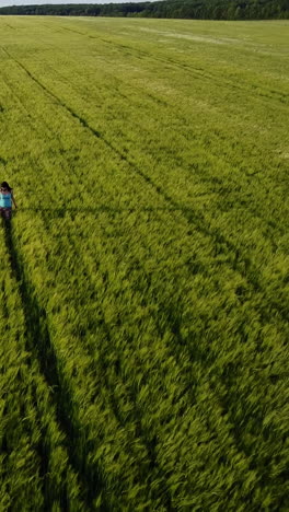 mother and son in field. happy young family walking around green wheat field vertical video