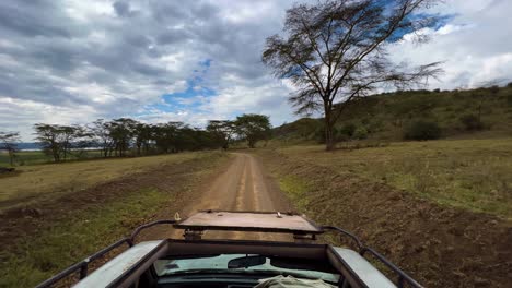 punto de vista de un vehículo todoterreno de safari conduciendo por un camino de tierra en el parque nacional del lago nakuru en kenia