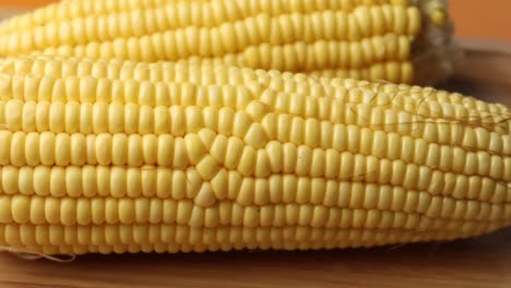 sweet corns on white background close up ,