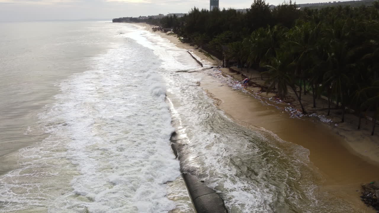 геотруба пытается защитить песчаное побережье, в то время как океанские волны бьются о линию пальм
