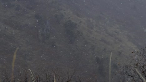 snow falling in slow motion on a overcast fall day in dry canyon located in lindon, ut