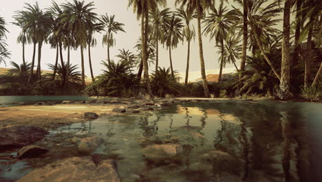 tranquil oasis with palm trees reflecting on calm water during golden hour