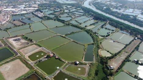 Mai-Po-Nature-Reserve-and-wetlands,-Hong-Kong,-Aerial-view