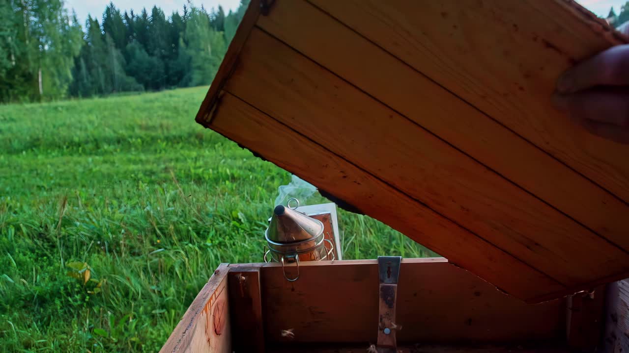 Primo piano al rallentatore della raccolta del miele da apicoltura, apicoltore che apre l'arnia di legno in un prato verde usando un affumicatore per api con fumo che sale, lavoro in apiario rurale all'aperto in estate