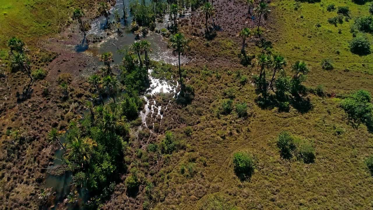 Riprese aeree di una riserva tropicale di zone umide nella regione del Cerrado, Brasile.