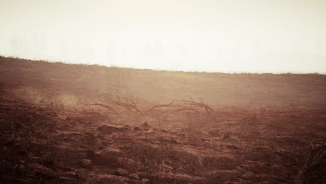 storm of dust and sand in desert