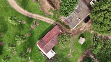 sueños de vuelo: explorando las maravillas del campo por encima